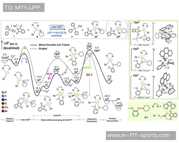 精准分析与数据驱动的足球比赛结果预测方法探讨与实践分享